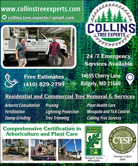COLLINS TREE EXPERTS, CAROLINE COUNTY, MD