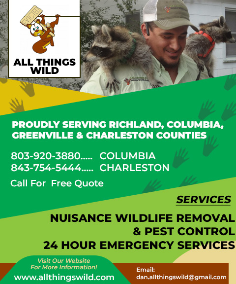 ALL THINGS WILD DP LLC, RICHLAND COUNTY, SC