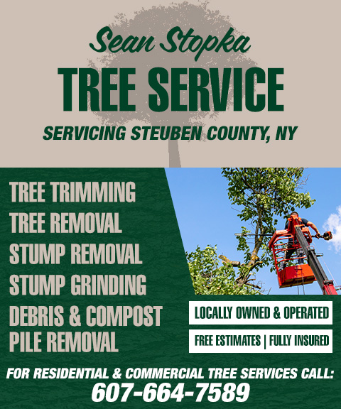 SEAN STOPKA TREE SERVICE, STEUBEN COUNTY, NY