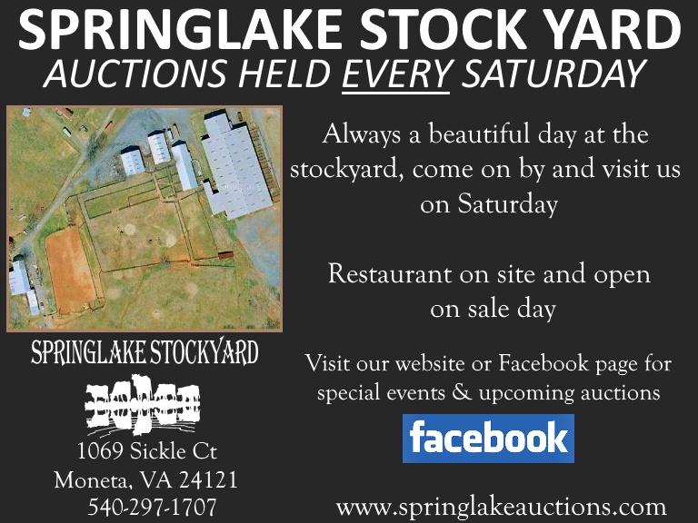 springlakestockyard SPRINGLAKE STOCKYARD, BEDFORD COUNTY, VA