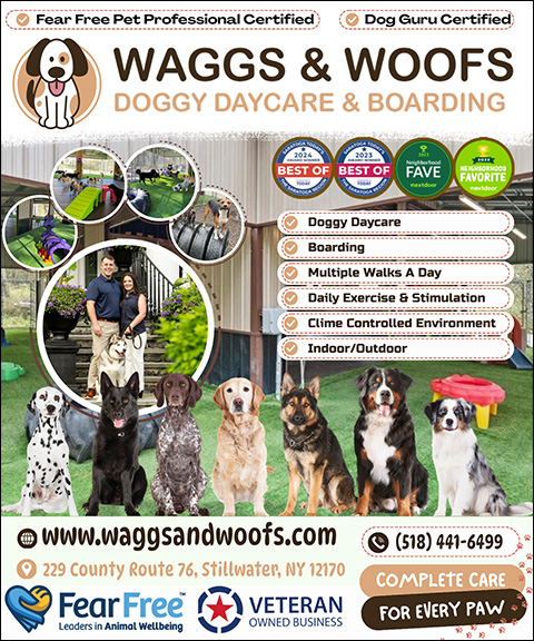 WAGGS & WOOFS DOGGY DAYCARE & BOARDING, SARATOGA COUNTY, NY