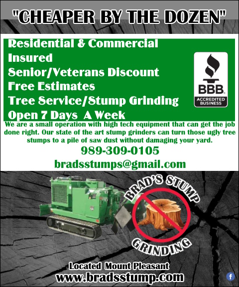 BRAD’S STUMP GRINDING, ISABELLA COUNTY, MI