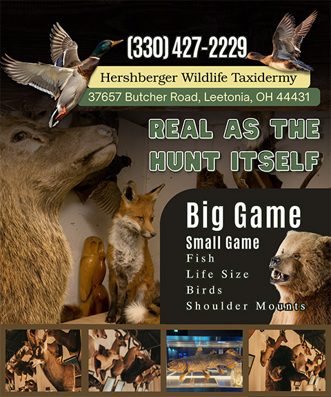 HERSHBERGER WILDLIFE TAXIDERMY, COLUMBIANA COUNTY, OH