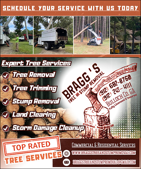 BRAGG’S TREE & STUMP REMOVAL, BULLOCH COUNTY, GA