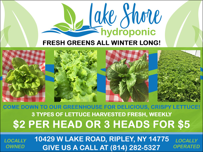 LAKE SHORE HYDROPONIC, CHAUTAUQUA COUNTY, NY