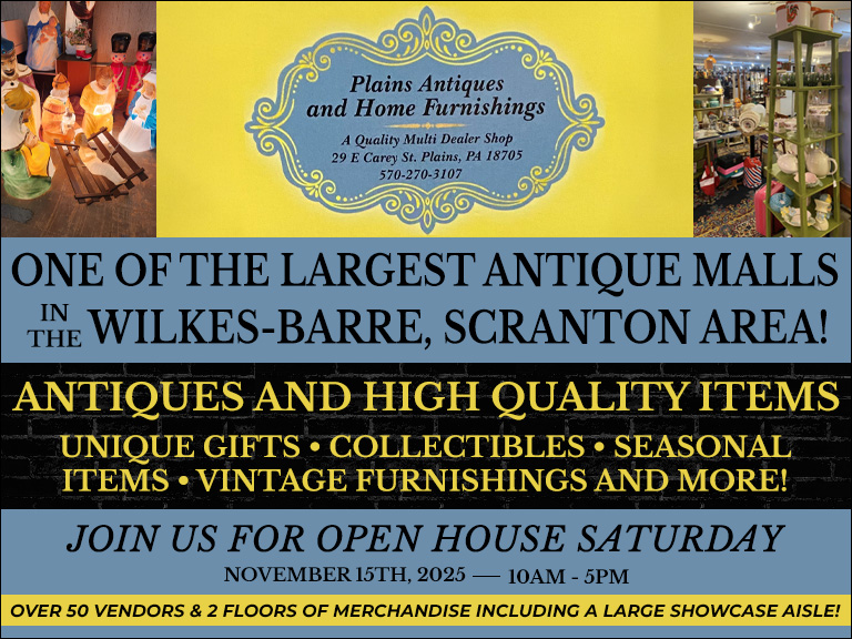 PLAINS ANTIQUES AND HOME FURNISHINGS, LUZERNE COUNTY, PA
