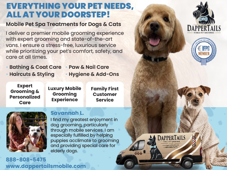 DAPPER TAILS MOBILE PET GROOMING, MECKLENBURG COUNTY, NC