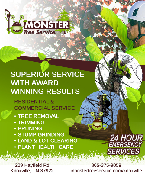 MONSTER TREE SERVICE, KNOX COUNTY, TN