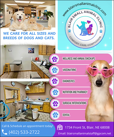 BLAIR SMALL ANIMAL CLINIC, WASHINGTON COUNTY, MI