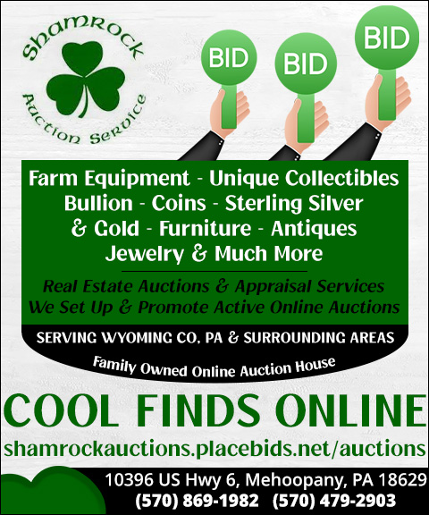 SHAMROCK ONLINE AUCTIONS, WYOMING COUNTY, PA