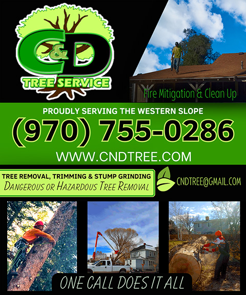 canddtreeservice