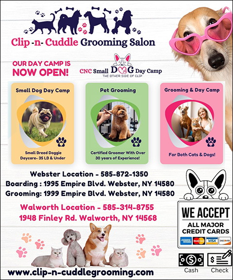 CLIP-N-CUDDLE GROOMING SALON, MONROE COUNTY, NY