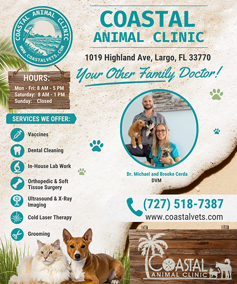 coastalanimalclinic COASTAL ANIMAL CLINIC, PINELLAS COUNTY, FL