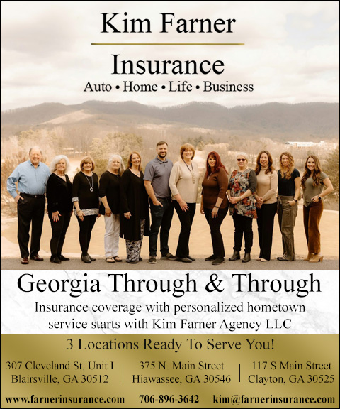 KIM FARNER INSURANCE, Union County, GA