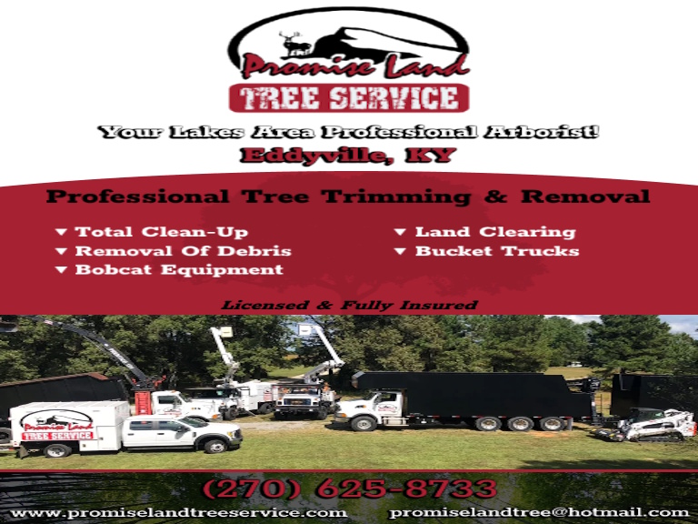 PROMISE LAND TREE SERVICE, LYON COUNTY, KY