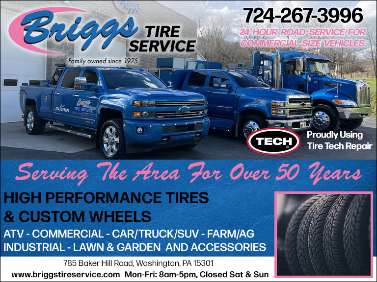 BRIGGS TIRE SERVICE, WASHINGTON COUNTY, PA