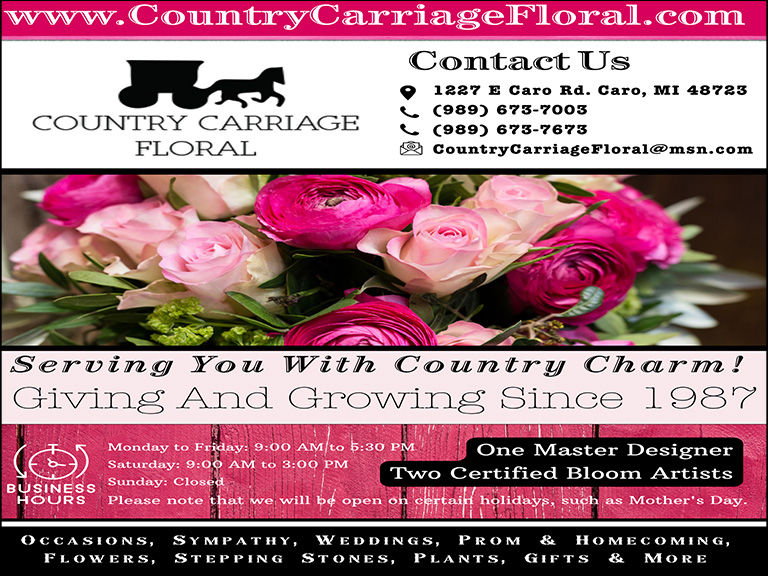 COUNTRY CARRIAGE FLORAL AND GREENHOUSE, TUSCOLA COUNTY, MI
