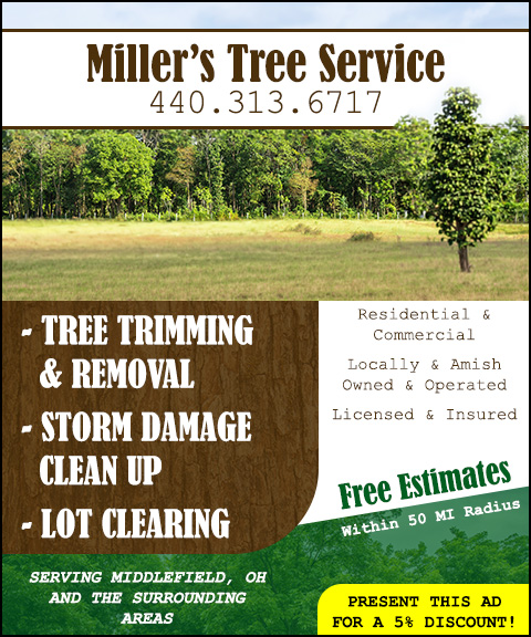 millerstreeserviceandlogging