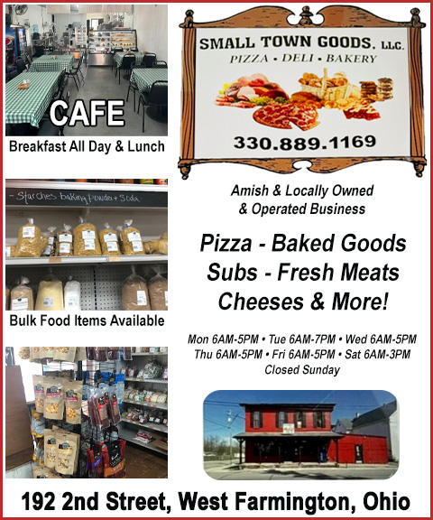 SMALL TOWN GOODS LLC, TRUMBULL COUNTY, SC