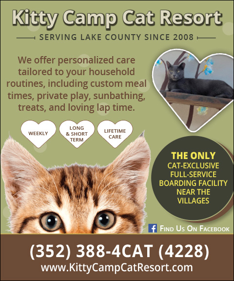 kittycampcatresort KITTY CAMP CAT RESORT, LAKE COUNTY, FL