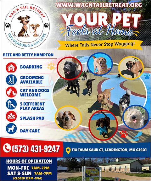 WAG