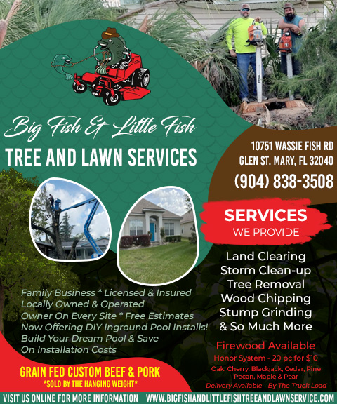 Big Fish & Little Fish Tree & Lawn Service, Nassau County, FL