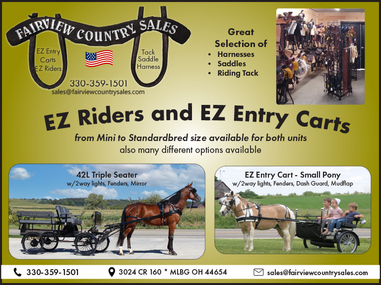 FAIRVIEW COUNTRY SALES, HOLMES COUNTY, OH