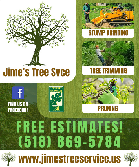 jimestreeservice