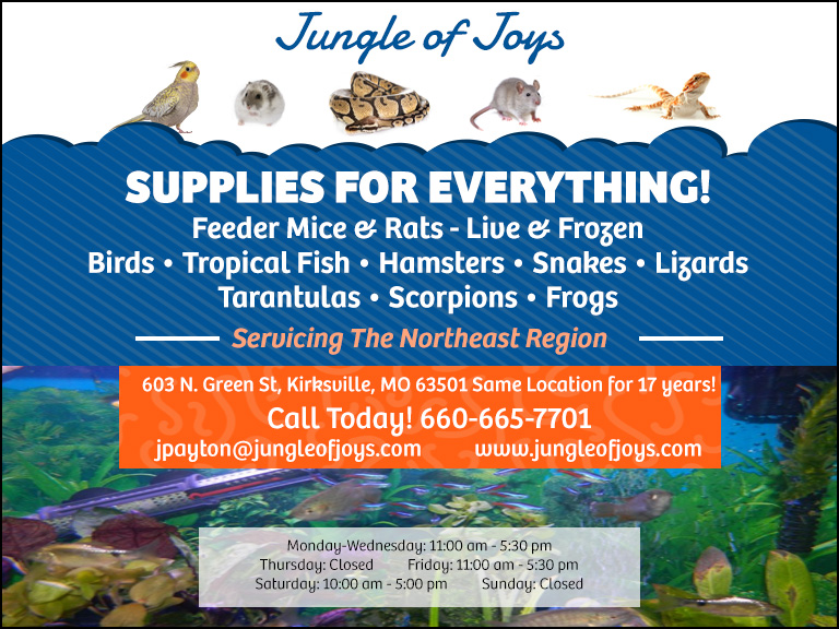 jungleofjoyspetshop2 jungleofjoyspetshop2