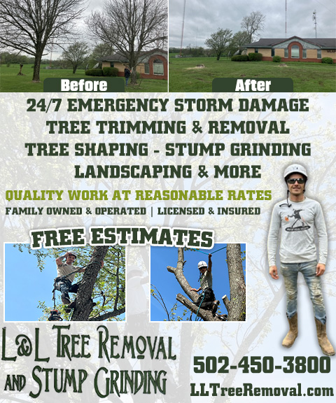 L&L TREE REMOVAL & STUMP GRINDING, Scott COUNTY, KY