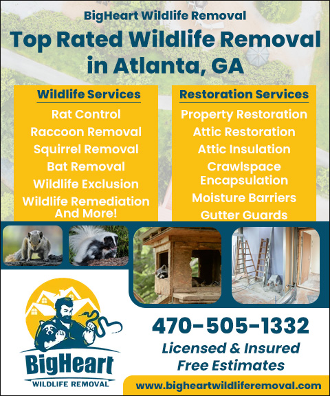 bigheartwildliferemoval BIGHEART WILDLIFE REMOVAL, FORSYTH COUNTY, GA