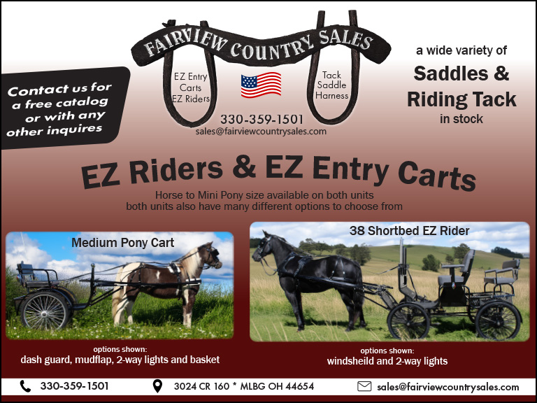 FAIRVIEW COUNTRY SALES, HOLMES COUNTY, OH