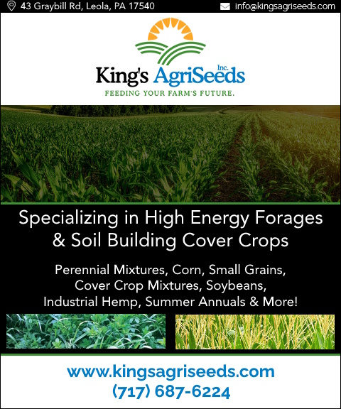 kingsagriseed KING’S AGRISEEDS, LANCASTER COUNTY, PA