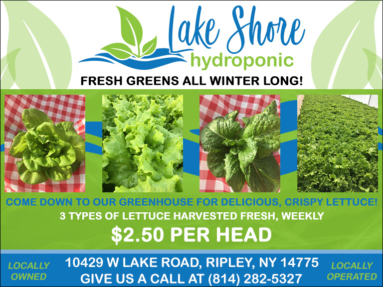 lakeshowhydroponics LAKE SHORE HYDROPONIC, CHAUTAUQUA COUNTY, NY