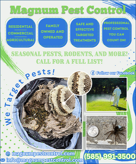 magnumpestcontrol MAGNUM PEST CONTROL LLC, Livingston COUNTY, NY